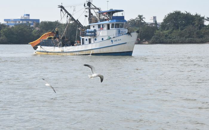 Pesca para a frota industrial começa em 1º de junho e seguirá até 31 de julho
(fotos João Batista)