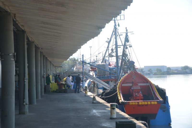 Ministério fará monitoramento dos barcos entre agosto  deste ano e abril de 2025