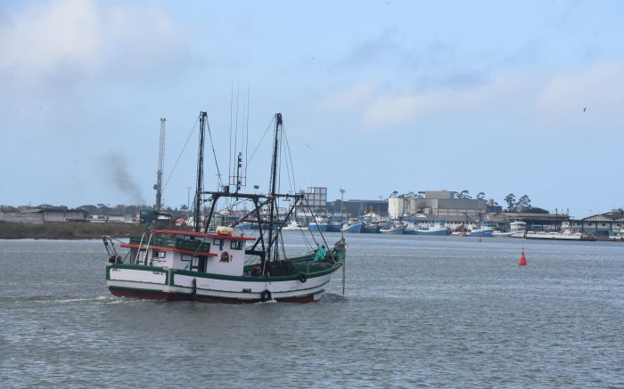Safra da tainha para barcos industrias inicia dia 1º de junho 
 (Foto: João Batista)