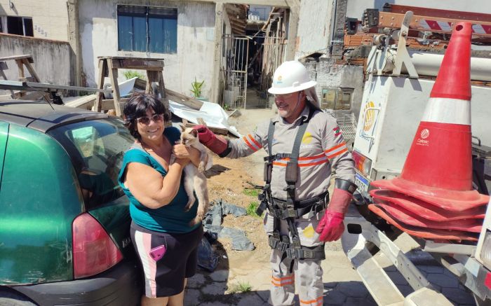 Gata viraliza na Web por pedir ajuda (foto: Divulgação/Marcelo Tolentino)