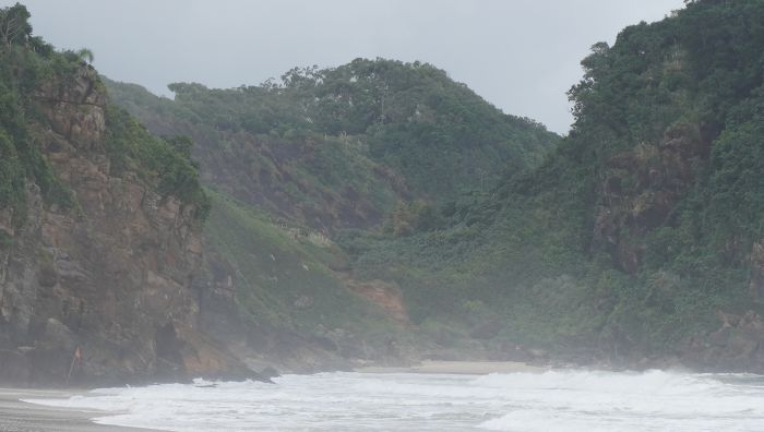 Queimada pode ter sido iniciada por ação humana (Foto: João Batista)