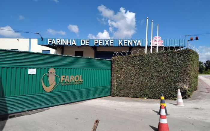 Fedentina tem tirado o sossego de quem vive na região da Farol (Foto: Franciele Marcon)