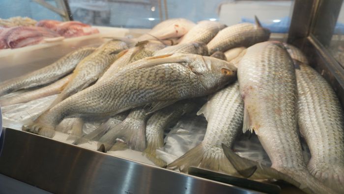 Só mudança de classificação não garante proteção, defende pesquisador 
(foto: João Batista)