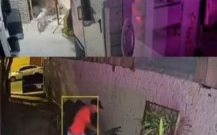 Cachorros foram considerados heróis nas duas ocorrências (foto: divulgação PMSC)