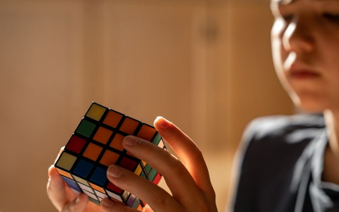 Referência no universo dos cubos estará no local (foto: divulgação - envato)