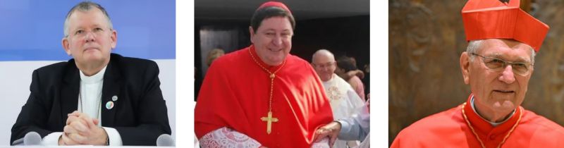 Jaime Spengler, João Braz e Leonardo Steiner podem votar no conclave (foto: Divulgação/CNBB)