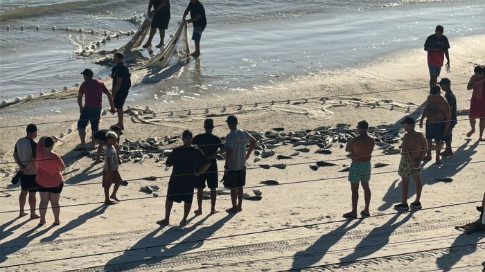 Primeiro lanço de tainha do ano aconteceu na praia de Bombas, em Bombinhas (Foto: Pescadores Bombinhas)
