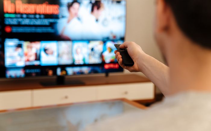 Rita Lee, Big Mouth, Rick & Morty e o musical “Wicked” estão entre os destaques do mês nas plataformas (Foto: Envato)