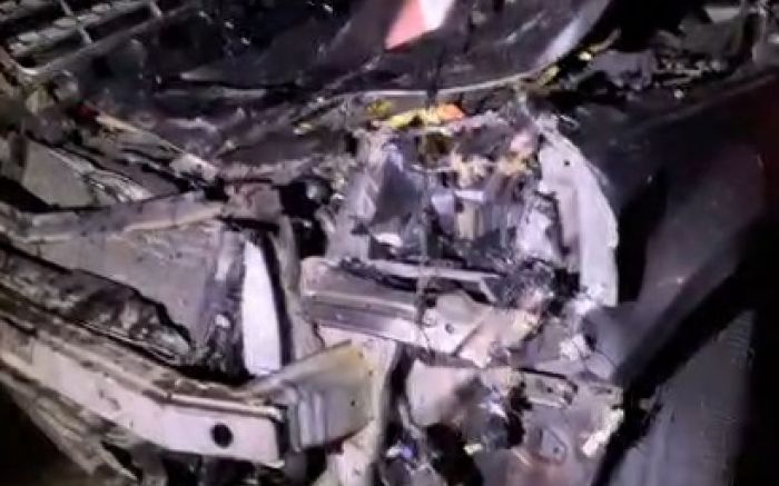 Uma das vacas morreu sobre a pista; a segunda foi atingida por um caminhão Fotos: Divulgação