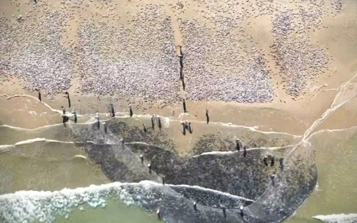 Pescadores terão que respeitar cotas também nas praias (Foto: Divulgação)