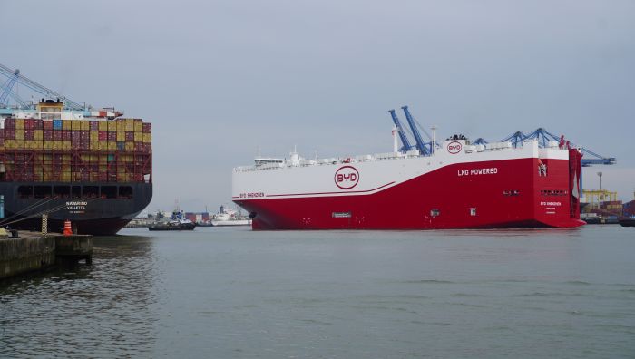 Descarregamento de 7292 veículos da BYD vai seguir até sábado (Foto: João Batista)