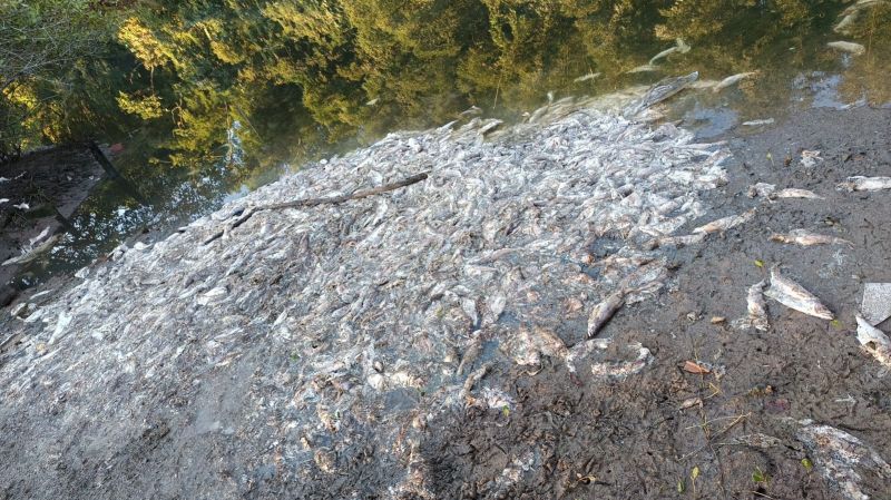 Multa, caso aplicada, poderia chegar a R$ 1 milhão e 500 mil (Foto: IMP / DIVULGAÇÃO)