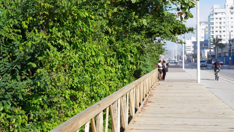 Intervenção na área depende de autorização do MPF ou do governo federal, diz IAN