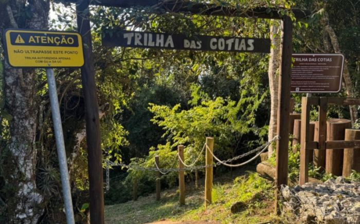 Reabertura celebra os 165 anos de Itajaí com caminhada na Mata Atlântica e mirante natural (Foto: Prefeitura de Itajaí/Divulgação)