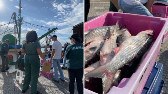 Embarcação foi interceptada perto da reserva do Arvoredo e levada ao píer de Itajaí (Fotos: Camila Diel/Diarinho)