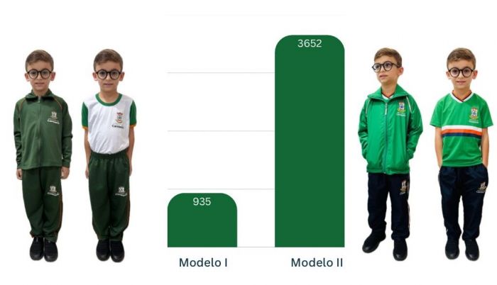 Modelo com predomínio do verde ganhou votação (Foto: Reprodução)