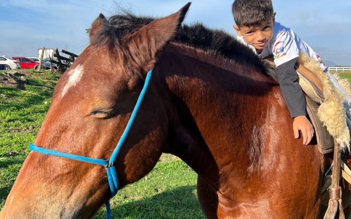 Legenda: Recursos liberados apenas para Ama e Apae motivaram reação dos ativistas da Sonhos de Maria Legenda: Vereadores foram pressionados a explicar motivo da negativa de recursos 