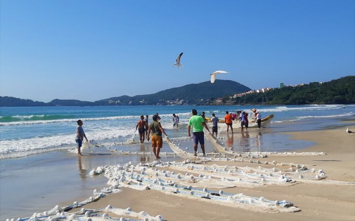 Restaurantes de Bombinhas preparam receitas autorais com tainha e prometem sabores únicos Fotos: Setur Bombinhas/Divulgação