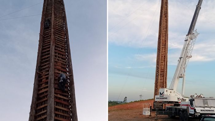 O evento também contará com shows de artistas nacionais e regionais, comidas típicas e apresentações culturais (Fotos: Divulgação/Prefeitura SJI