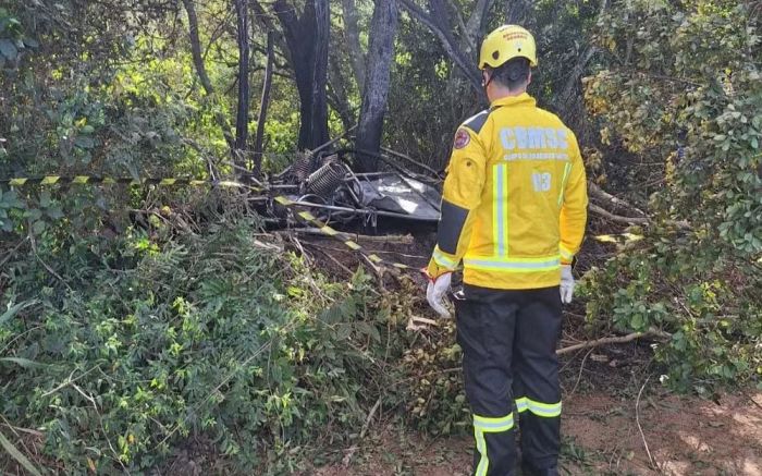 Quatro pessoas morreram carbonizadas e quatro morreram na queda (Foto: Reprodução/Redes sociais)