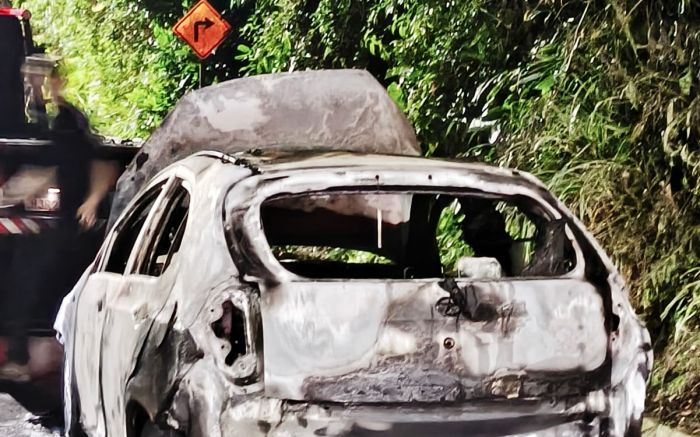 Motorista conseguiu escapar sem ferimentos (Foto: Divulgação/BC Trânsito)