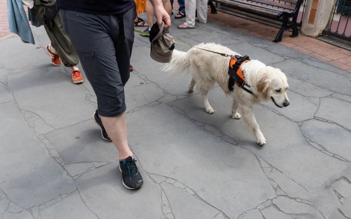 Mesa redonda será a partir das 19h desta quinta-feira, na Unisul de Itajaí (Foto: Divulgação)