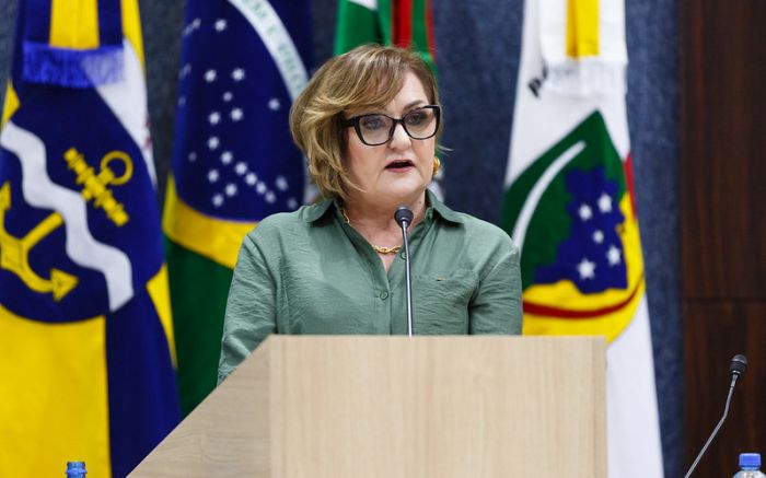 Procedimento cirúrgico foi bem-sucedido e Hilda segue em recuperação (Foto: Davi Spuldaro)