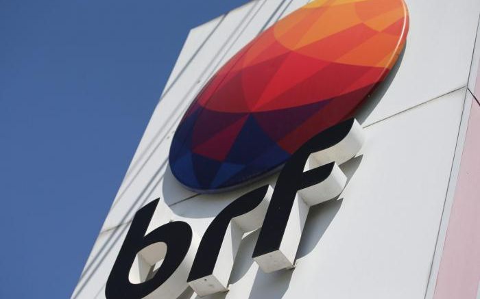 Venezuelana deu à luz sozinha em banco na entrada da empresa, onde os bebês morreram minutos depois (Foto: Divulgação/BRF)