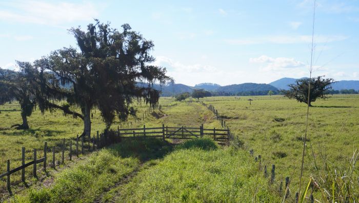 Complexo será em área gigante entre a rodovia e o rio Itajaí-mirim (Foto: João Batista)