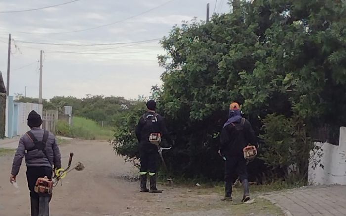 Moradora alega que comunicado da poda não chegou até ela, e que ação foi abusiva (Foto: Divulgação)