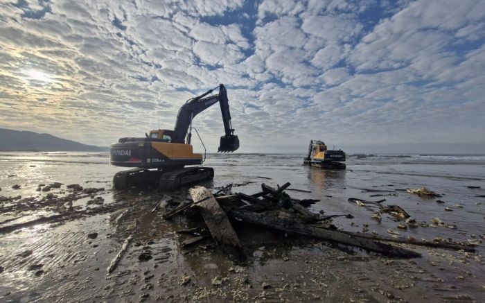 Proprietário será multado e arcará com todas as despesas da operação (Foto: Divulgação/PMN/Marcos Porto)
