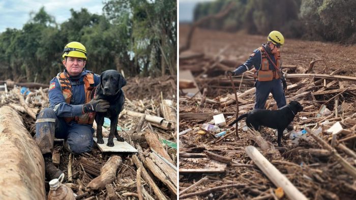 Zaara encerra carreira operacional e segue ao lado do sargento De Souza em nova fase de vida (Foto: CBMSC/Divulgação)
