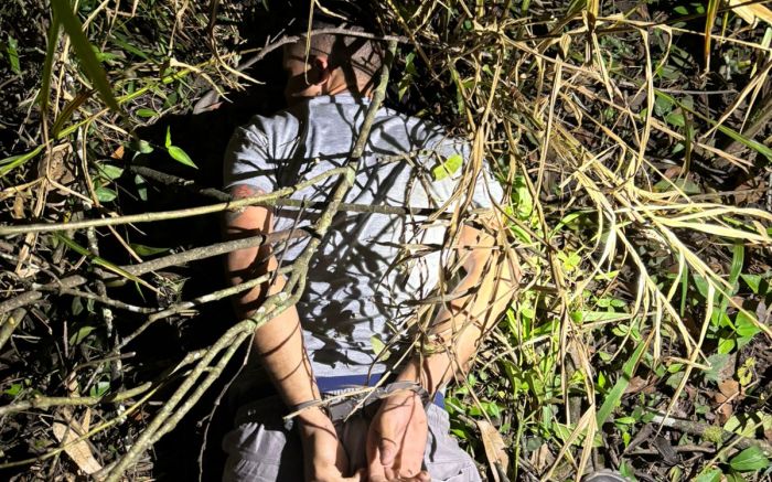 Homem de 29 anos era procurado pela justiça do Pará (Foto: Divulgação PCSC)