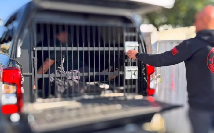 Também foram cumpridas 19 ordens de busca e apreensão (Foto: Reprodução)