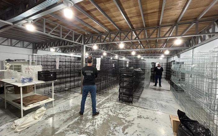 Roupas apreendidas estavam avaliadas em R$ 1,5 milhão (Foto: Divulgação/PCSC)