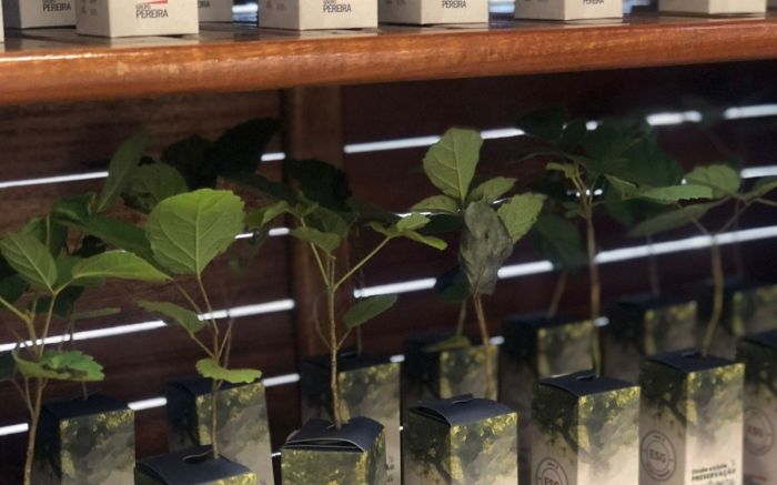 A quantidade doada é capaz de ocupar 127 campos de futebol tamanho padrão (Foto: Divulgação)