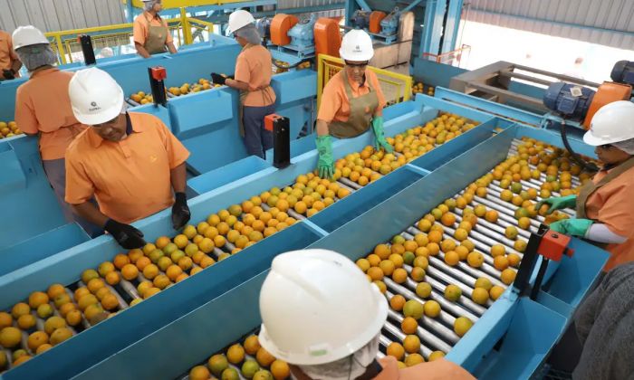 Novas regras devem começar a valer a partir de 6 de agosto (Foto: Ari Dias/Governo do Paraná)