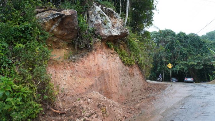 Operação inicia com corte de árvores no terreno (Foto: João Batista)