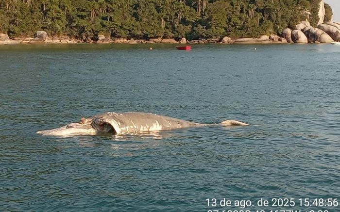 O DIARINHO noticiou a segunda morte na quarta-feira (Foto: Redes sociais)