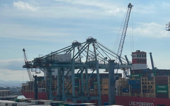 Movimentação no primeiro semestre foi de 1,7 tonelada em Itajaí (Foto: João Batista)