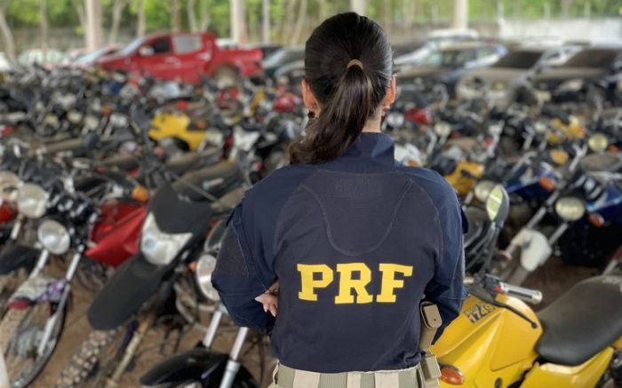 Pátios já estão abertos para visitação e lances podem ser feitos pela internet (Foto: PRF/Divulgação)