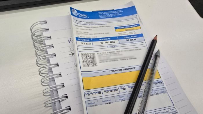 Novo valor será aplicado em toda a área de concessão da Celesc (Foto: Camila Diel/Diarinho)