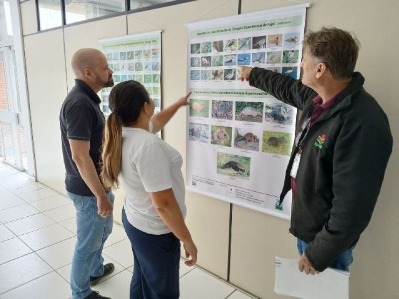 (Foto: Renata Rosa/Epagri)