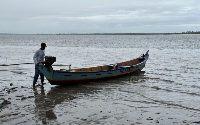 Investigações apontaram fraudes e atravessadores no benefício (Foto: Govbr)