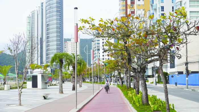 Só no trecho atualmente em obras serão mais de 500 árvores (Foto: João Batista)