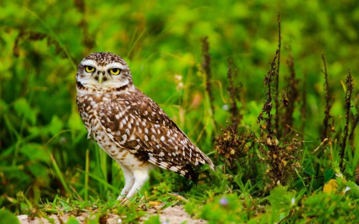 Trabalho é promovido pela Portonave em parceria com a Univali (Foto: Divulgação)