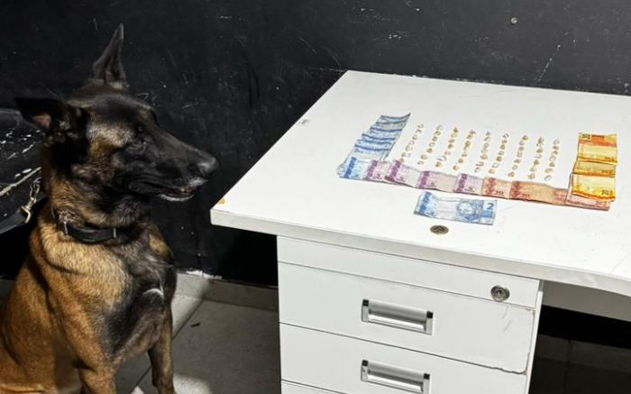 A PM contou com apoio do cão farejador Bruce (Foto: Divulgação PMI)