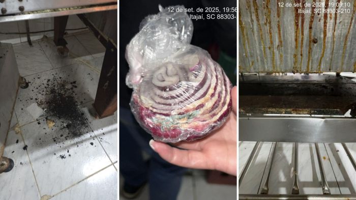 Potes sujos, gordura escorrida e até utensílios de limpeza em meio aos alimentos levaram à interdição imediata (Fotos: Divulgação/Vigilância Sanitária de Itajaí)