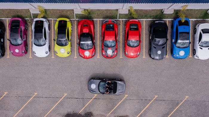 Reunidos, veículos somam R$ 75 milhões (Foto: Divulgação)