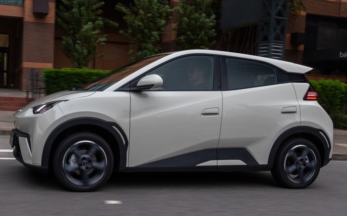 Modelo mais vendido é o Dolphin Mini com 3392 unidades emplacadas (Foto: Divulgação)